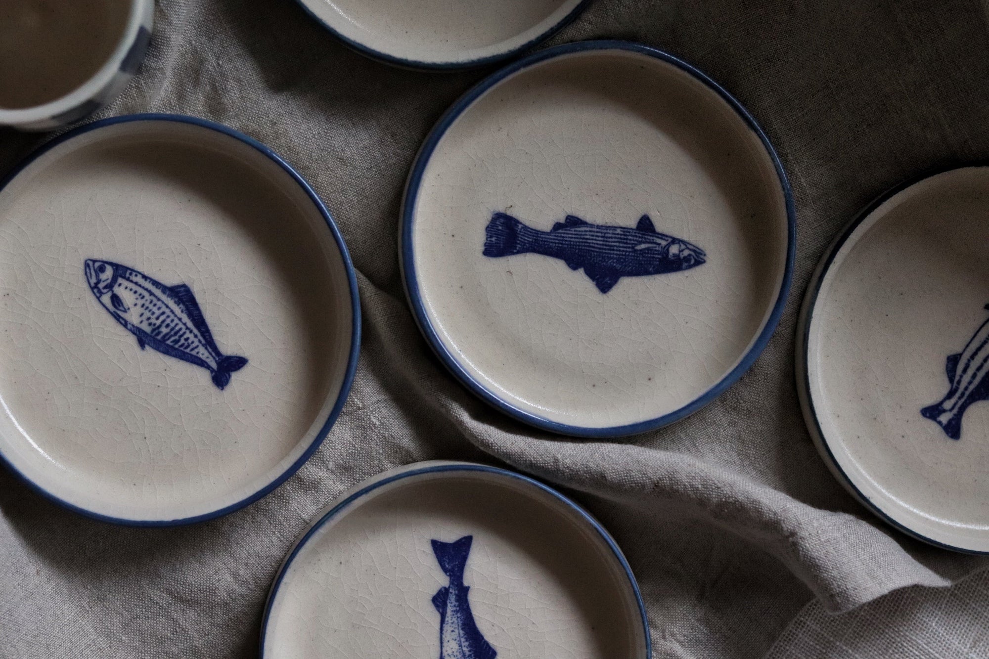 Notes From the Coast
